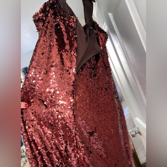 Tuckernuck Radiant Bronze Sequin Roxy Dress - Picture 9 of 9